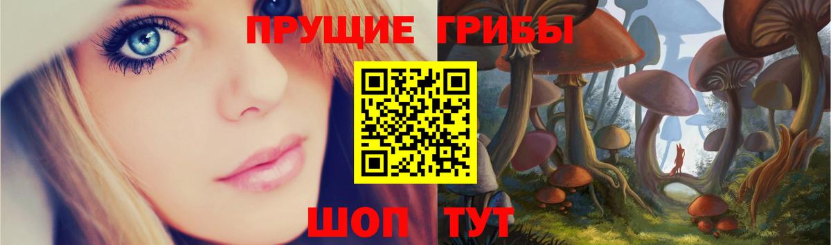 Галлюциногенные грибы ЛСД  Галлюциногенные грибы Psilocybe  где продают наркотики  Кузнецк  Вход с VPN 