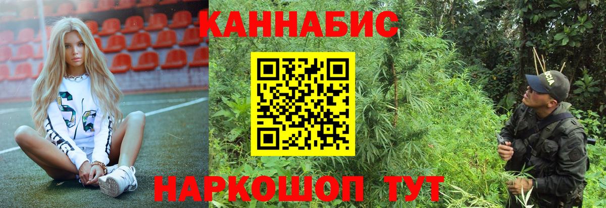 Каннабис гибрид Кузнецк